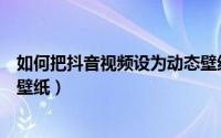 如何把抖音视频设为动态壁纸（如何将抖音视频设置成动态壁纸）