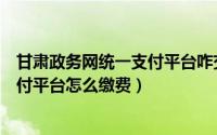 甘肃政务网统一支付平台咋交费（甘肃省政务服务网统一支付平台怎么缴费）