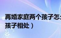 再婚家庭两个孩子怎么相处（再婚家庭怎么和孩子相处）