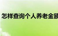 怎样查询个人养老金额（怎样查询个人信誉）