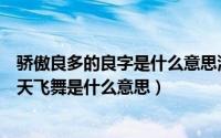 骄傲良多的良字是什么意思漫天飞舞的漫字是什么意思（漫天飞舞是什么意思）