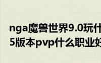 nga魔兽世界9.0玩什么职业好（魔兽世界9.05版本pvp什么职业好）