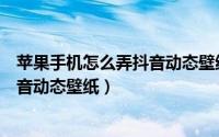 苹果手机怎么弄抖音动态壁纸自动播放（苹果手机怎么弄抖音动态壁纸）