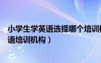 小学生学英语选择哪个培训机构（如何选择适合小学生的英语培训机构）