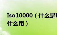 Iso10000（什么是ISO20000ISO20000有什么用）