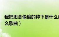 我把思念偷偷的种下是什么歌（我把思念偷偷的种下出自什么歌曲）