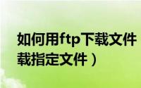 如何用ftp下载文件（FTP/FTPRush怎么下载指定文件）