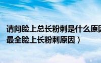 请问脸上总长粉刺是什么原因（脸上长粉刺是怎么回事 史上最全脸上长粉刺原因）