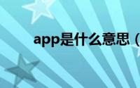 app是什么意思（app是什么意思）