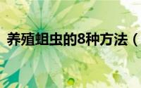 养殖蛆虫的8种方法（蛆虫养殖的几种方法）