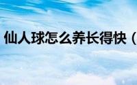 仙人球怎么养长得快（仙人球如何养长得快）