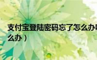 支付宝登陆密码忘了怎么办啊（淘宝支付宝登陆密码忘了怎么办）