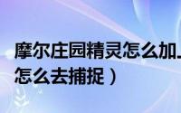 摩尔庄园精灵怎么加上去三个（摩尔庄园精灵怎么去捕捉）