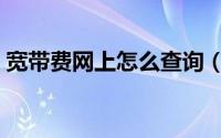 宽带费网上怎么查询（宽带费网上怎么缴费）