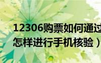 12306购票如何通过手机核验（12306订票怎样进行手机核验）