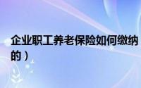 企业职工养老保险如何缴纳（职工基本养老保险是如何缴纳的）