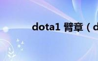 dota1 臂章（dota1 BH攻略）