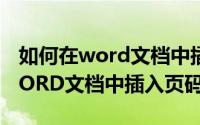 如何在word文档中插入四线三格（如何在WORD文档中插入页码）