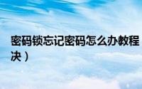 密码锁忘记密码怎么办教程（密码锁忘记密码怎么办教你解决）