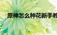 原神怎么种花新手教程（原神怎么种花）