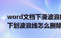 word文档下滑波浪线怎么去掉（word文档下划波浪线怎么删除）