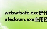 wdswfsafe.exe是什么进程（如何解决WDsafedown.exe应用程序错误）