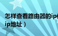 怎样查看路由器的ip信息（怎样查看路由器的ip地址）