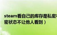 steam看自己的库存是私密状态（steam怎么设置库存为私密状态不让他人看到）