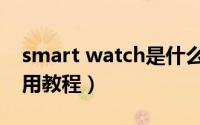 smart watch是什么牌子（smart watch使用教程）