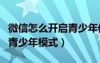 微信怎么开启青少年保护模式（微信怎么开启青少年模式）