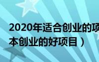 2020年适合创业的项目（2020年有哪些低成本创业的好项目）