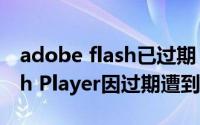 adobe flash已过期（怎么解决 Adobe Flash Player因过期遭到阻止）