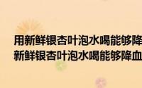 用新鲜银杏叶泡水喝能够降血压这是真的吗?庄园课堂（用新鲜银杏叶泡水喝能够降血压这是真的吗）