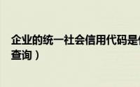 企业的统一社会信用代码是什么（企业的统一社会信用代码查询）