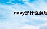 navy是什么意思（navy的意思）