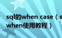 sql的when case（sqlserver条件分支case when使用教程）