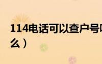 114电话可以查户号吗（114电话可以查询什么）