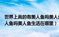 世界上真的有美人鱼吗美人鱼真的存在吗（世界上真的有美人鱼吗美人鱼生活在哪里）