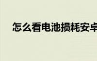 怎么看电池损耗安卓（怎么看电池损耗）