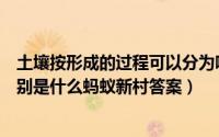 土壤按形成的过程可以分为哪四层（土壤大致可分为三层分别是什么蚂蚁新村答案）