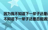 因为我不知道下一辈子还是否能遇见你是什么歌词（因为我不知道下一辈子还是否能遇见你是什么歌）