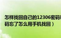 怎样找回自己的12306密码和用户名（12306的用户名和密码忘了怎么用手机找回）