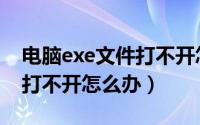 电脑exe文件打不开怎么回事（电脑exe文件打不开怎么办）