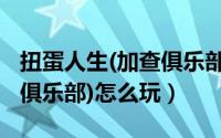 扭蛋人生(加查俱乐部)下载（扭蛋人生2(加查俱乐部)怎么玩）