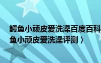 鳄鱼小顽皮爱洗澡百度百科（鳄鱼小顽皮爱洗澡 怎么玩 鳄鱼小顽皮爱洗澡评测）