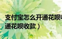 支付宝怎么开通花呗收款资质（支付宝怎么开通花呗收款）