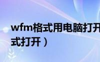 wfm格式用电脑打开（wmf的文件用什么格式打开）