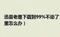 迅雷老是下载到99%不动了（迅雷下载到99.9%一直卡在那里怎么办）