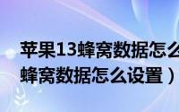 苹果13蜂窝数据怎么设置网络更快（苹果13蜂窝数据怎么设置）