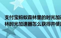 支付宝蚂蚁森林里的时光加速器有什么作用（支付宝蚂蚁森林时光加速器怎么获得并使用）